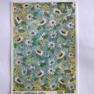 Ciao Bella A4 Rice Paper 28 gsm White Daisies, Microcosmos CBRP126